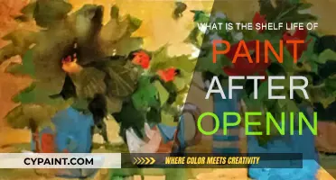 How Long Does Paint Last After Opening?