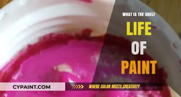 Understanding Paint Shelf Life: How Long Does Paint Last?