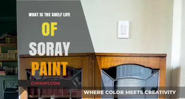 Understanding the Shelf Life of Soray Paint: Storage Tips and Durability