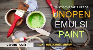 Emulsion Paint: How Long Does it Last?