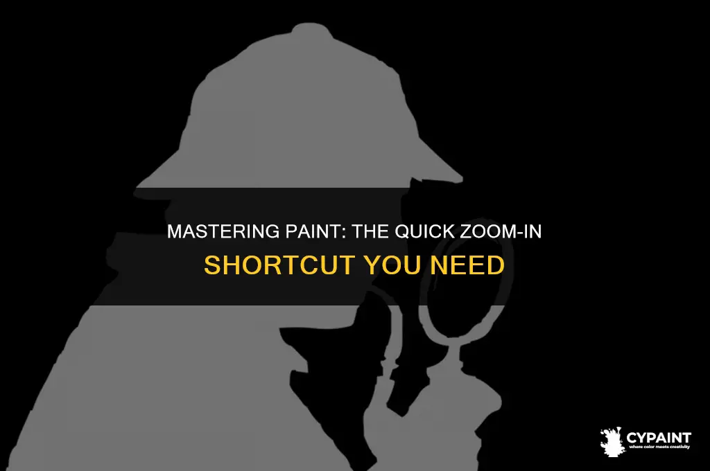 what is the short cut to zoom in on paint