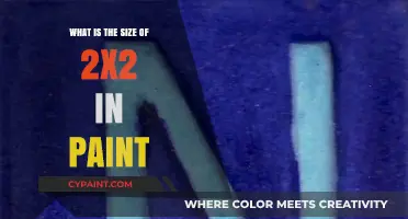 Understanding 2x2 Size in Paint: A Quick Guide for Beginners