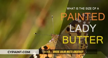 The Painted Lady: A Small, Vibrant Butterfly