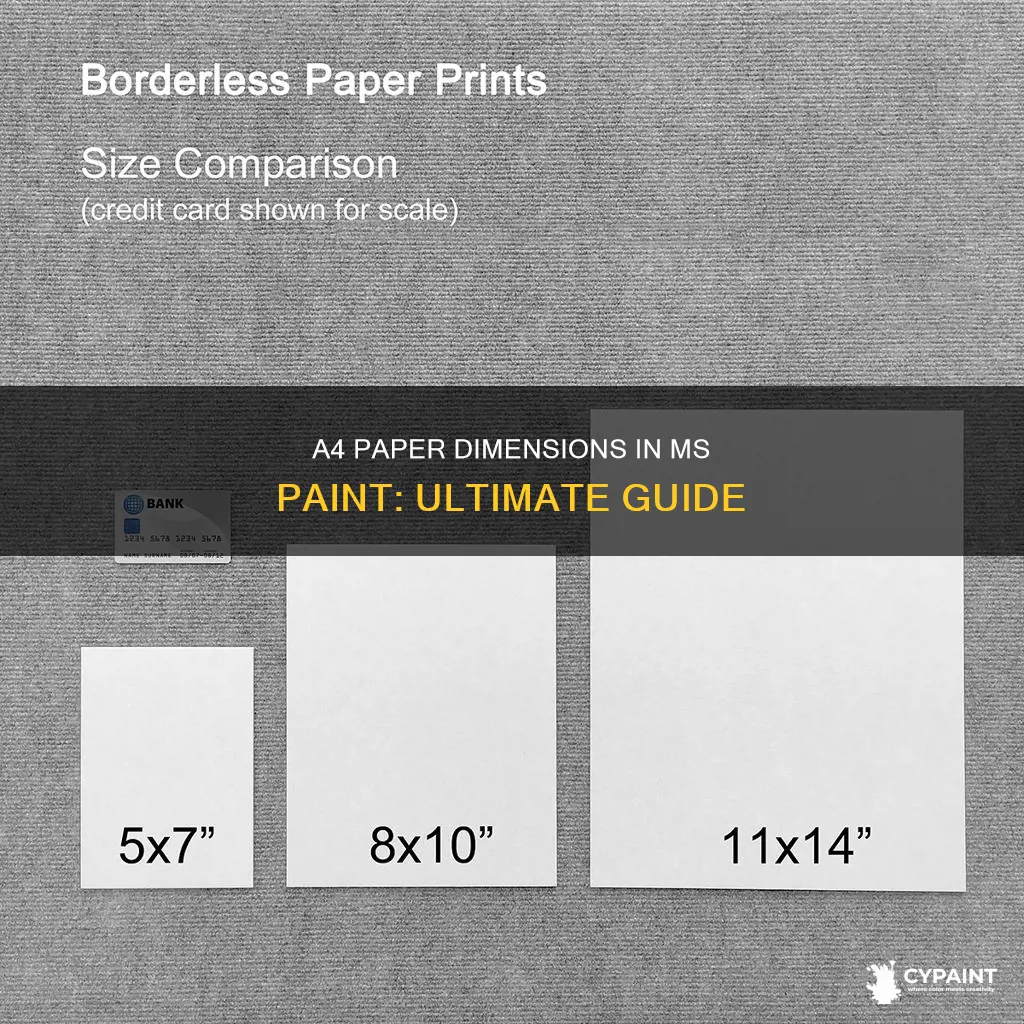 what is the size of a4 paper in paint