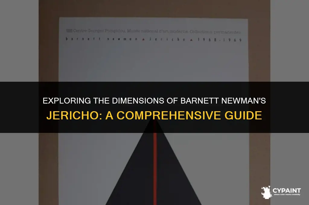 what is the size of barnett newman