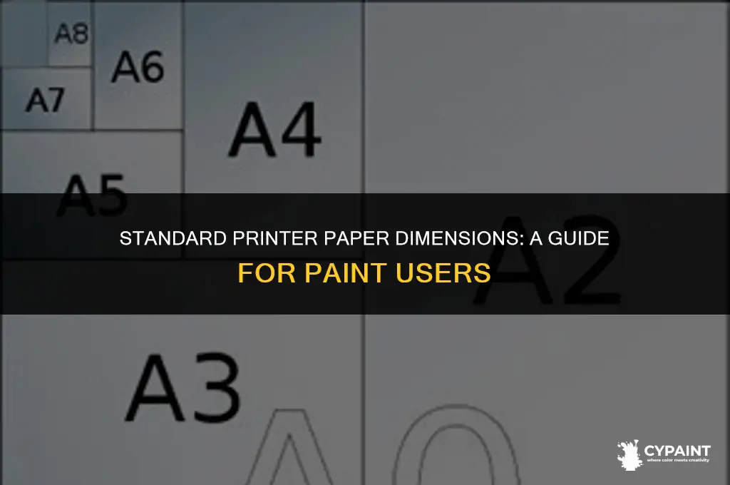what is the size of normal printer paper in paint