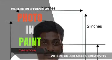 Passport Photo Dimensions: A Quick Guide for Perfect Sizing
