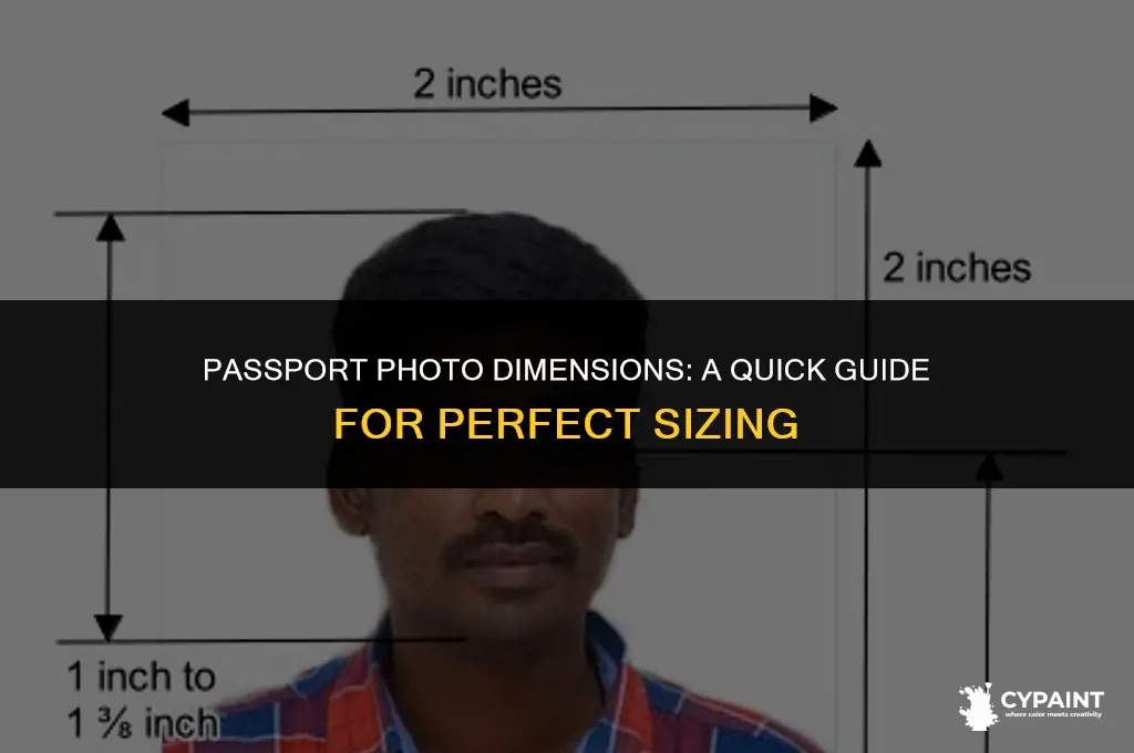 what is the size of passport size photo in paint