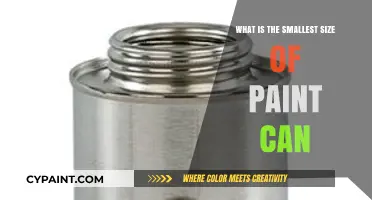 Exploring the Tiniest Paint Can Sizes for Your Mini Projects