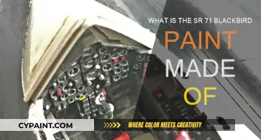 Blackbird's Paint: Secret Formula for the SR-71