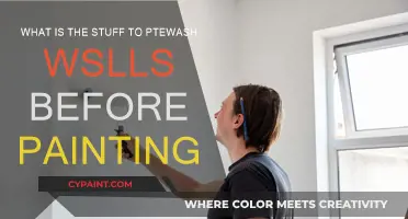 Primer Prep: Cleaning Walls Before Painting