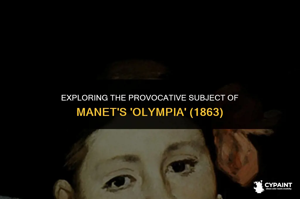 what is the subject matter of manet
