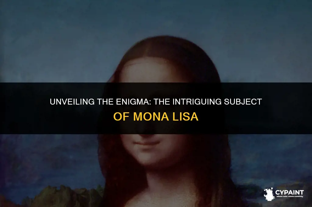 what is the subject matter of the mona lisa painting