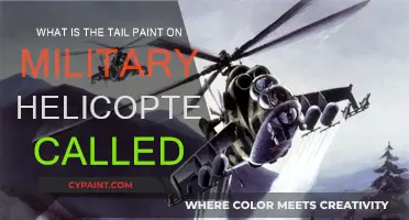 Why Military Helicopters Have Colorful Tail Paints