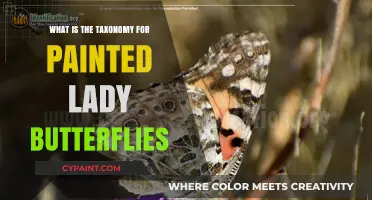 Understanding the Scientific Taxonomy of Painted Lady Butterflies