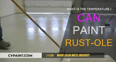 Best Temperature for Painting with Rust-Oleum