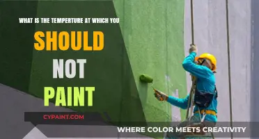 Ideal Conditions for Painting: Avoiding Temperature Extremes
