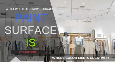 Best Paint for Durability: [Material] Surfaces