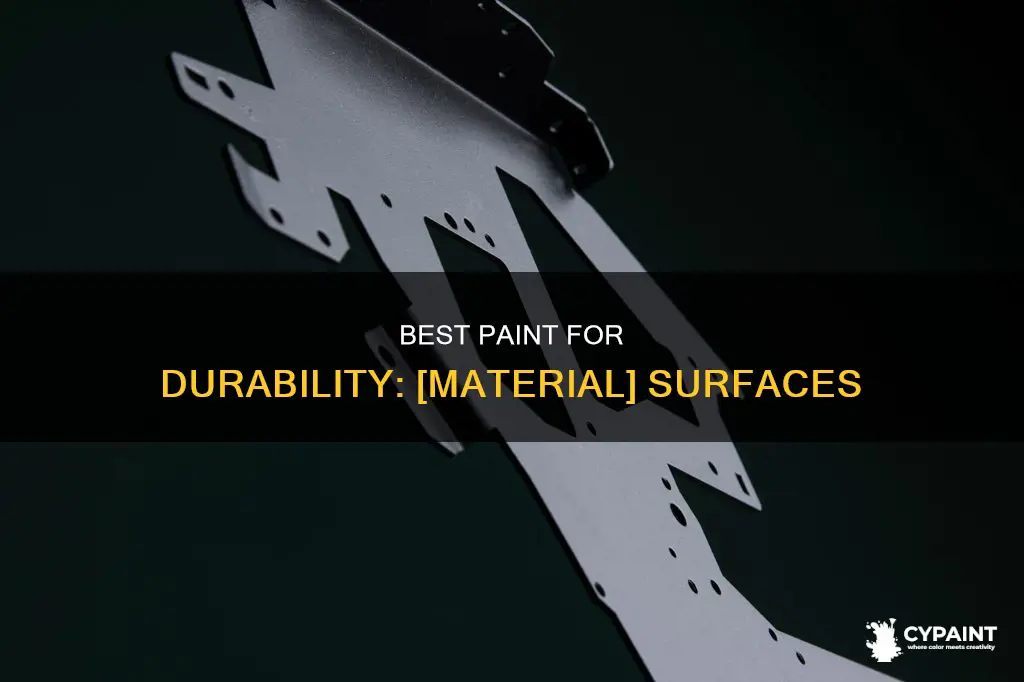 what is the the most durable paint surface is