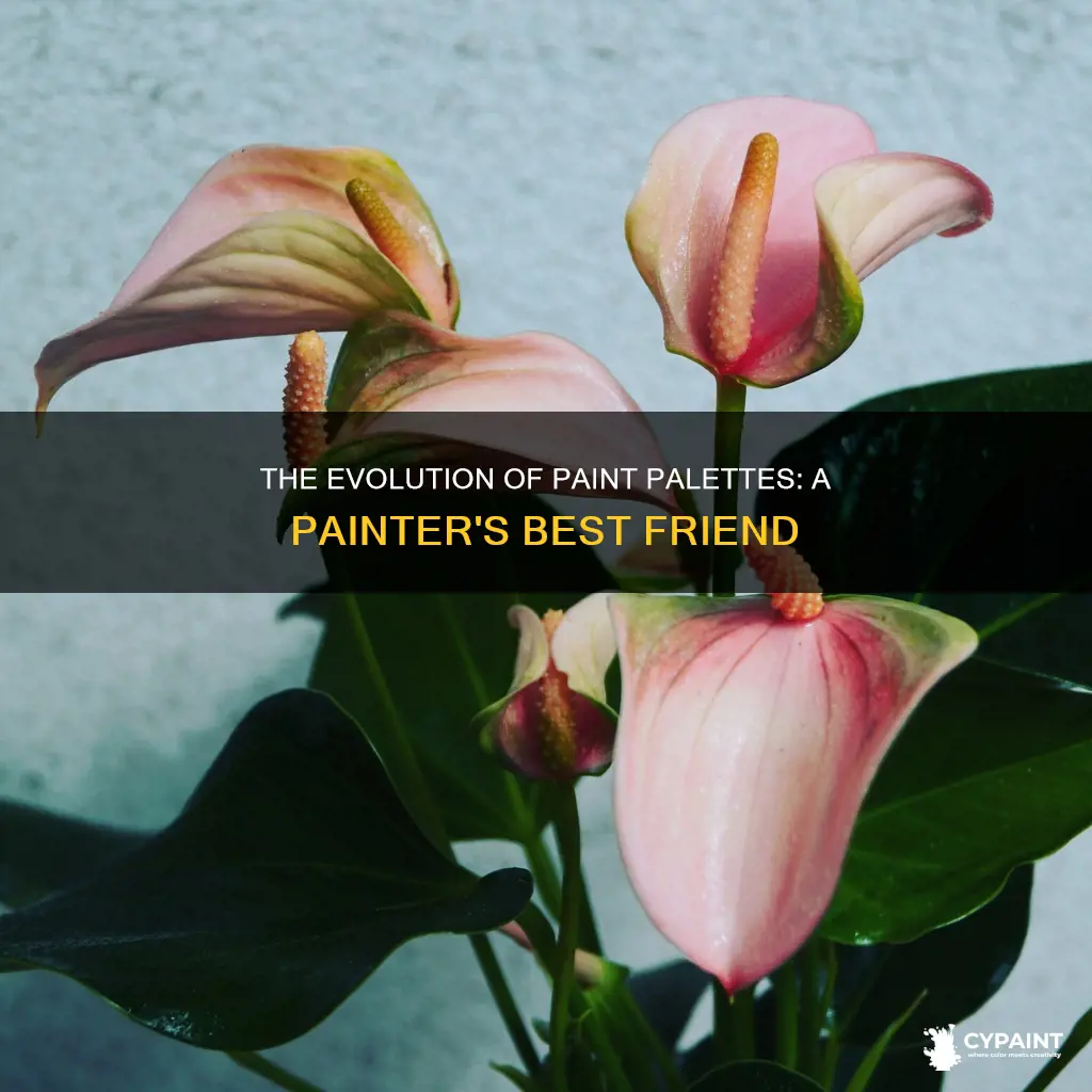 what is the thing painters put the paint on