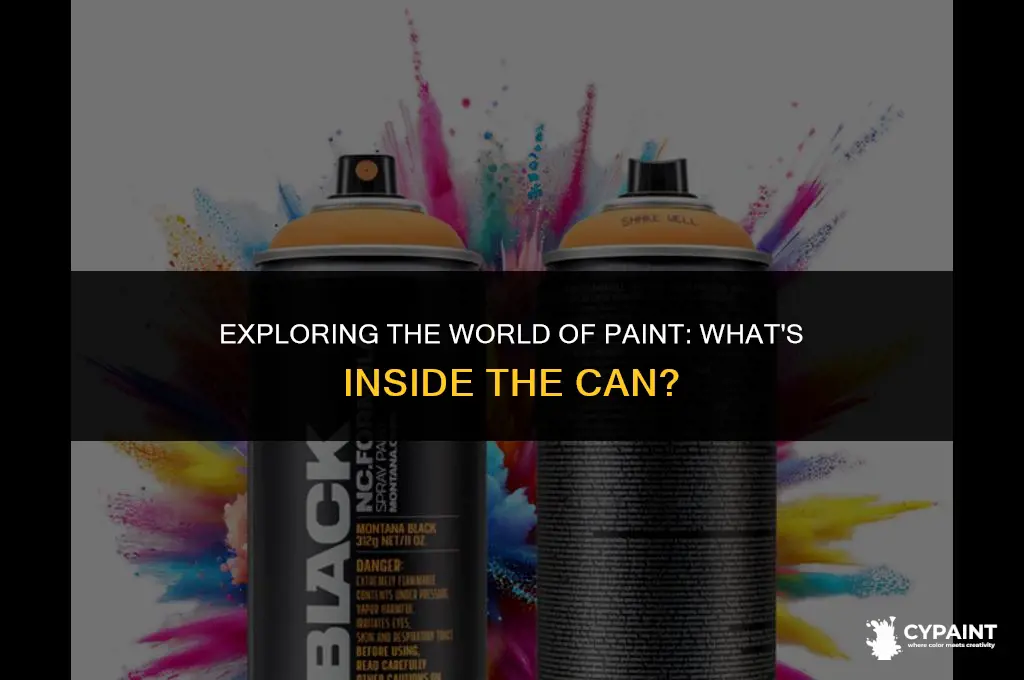 what is the thing that the paint is in called