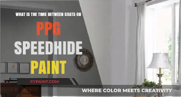 Mastering PPG Speedhide Paint: Optimal Time Between Coats for Flawless Results