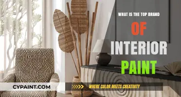 Discover the Leading Interior Paint Brand for Your Home Makeover