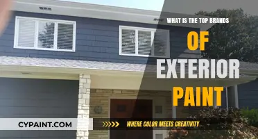 Discover the Best Exterior Paint Brands for Lasting Curb Appeal