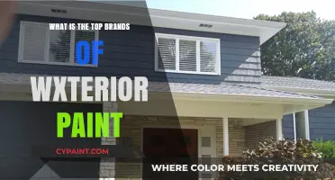 Top Exterior Paint Brands for Durable and Vibrant Home Finishes