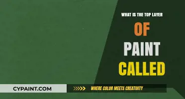 Understanding the Top Layer of Paint: Its Name and Purpose Explained