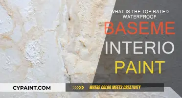 Best Waterproof Basement Paint Options