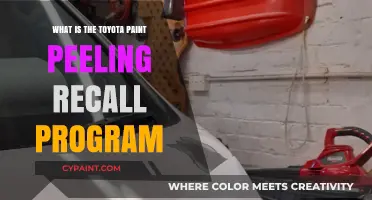 Toyota Paint Peeling Recall Program: What Owners Need to Know