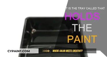 The Essential Tool: Paint Tray Basics and Uses