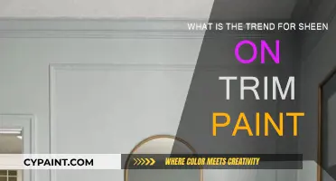 Trending Sheen for Trim Paint: Flat or Glossy?