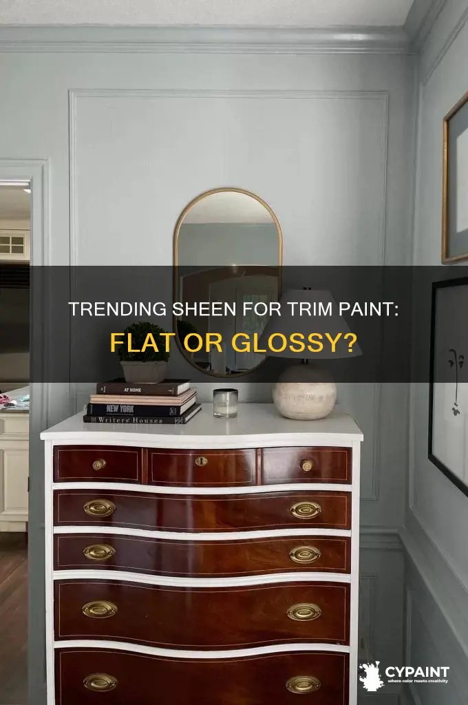 what is the trend for sheen on trim paint