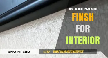 Exploring the Most Common Interior Paint Finishes for Your Home