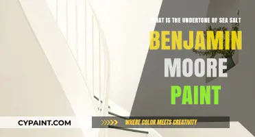 Unveiling the Subtle Undertones of Sea Salt Benjamin Moore Paint