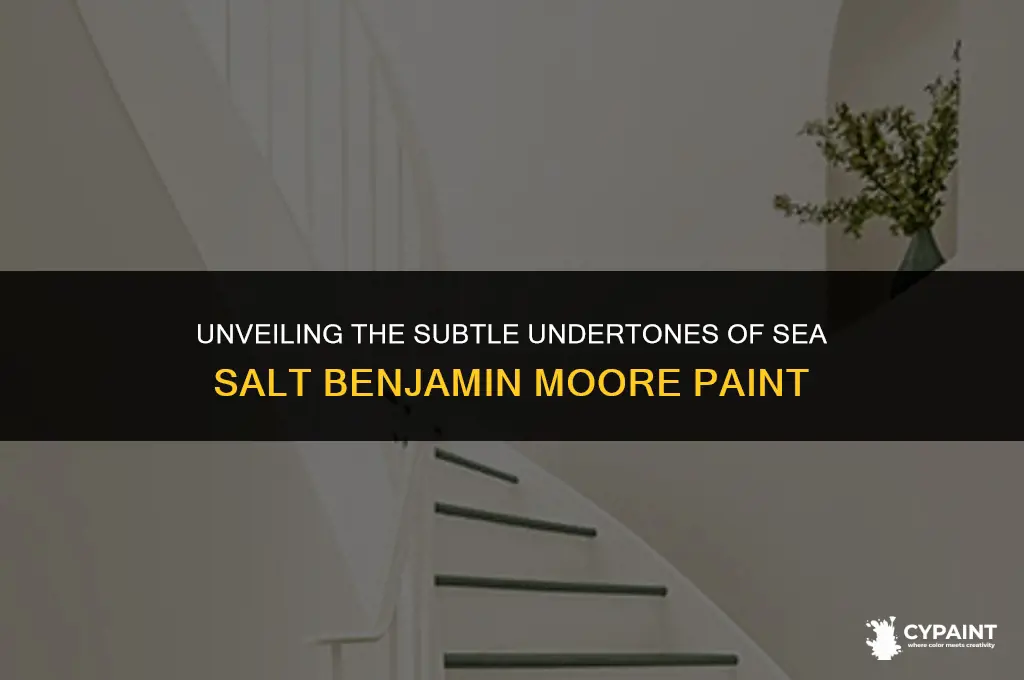 what is the undertone of sea salt benjamin moore paint