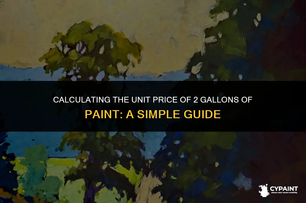what is the unit price of 2 gallons of paint