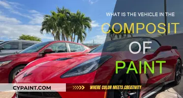 The Vehicle in Paint Composition: Understanding the Medium