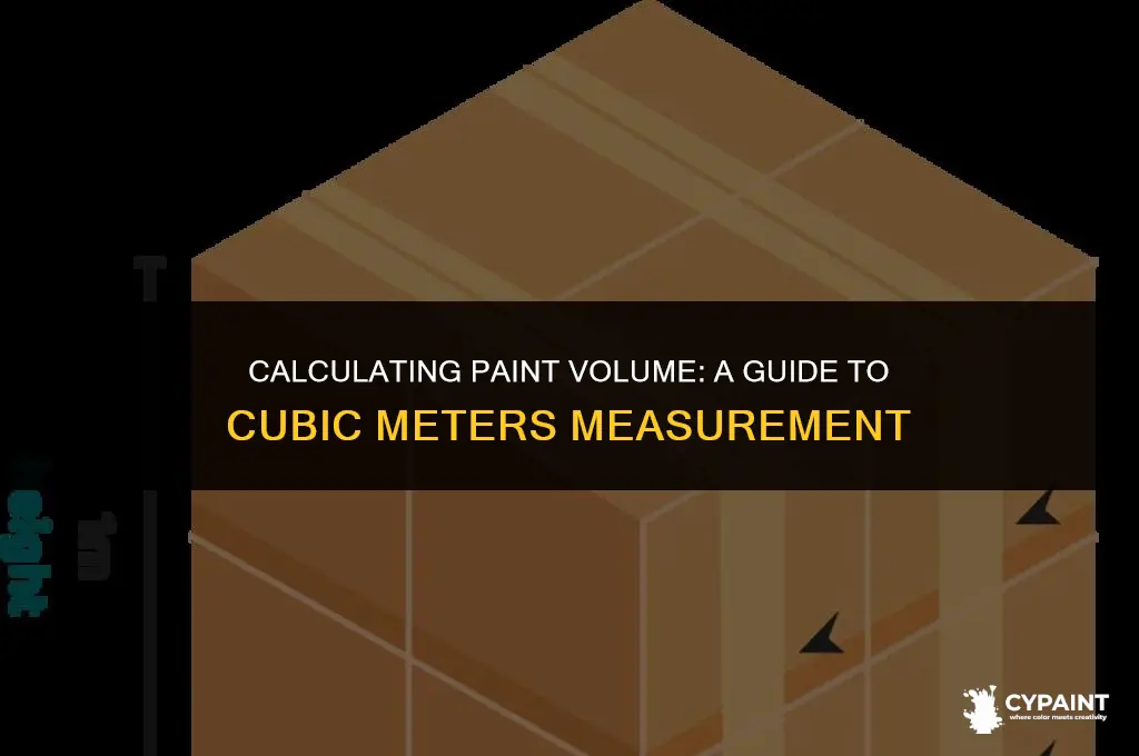 what is the volume of the paint in cubic meters