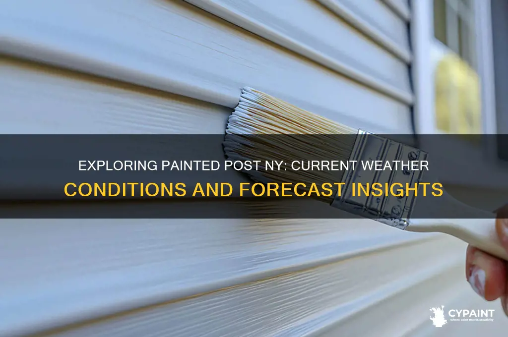 what is the weather in painted post ny