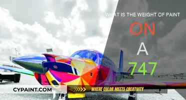 How Much Paint Does a 747 Jumbo Jet Need?