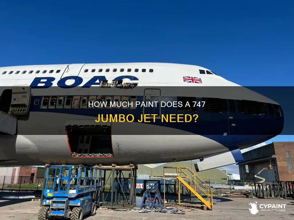what is the weight of paint on a 747