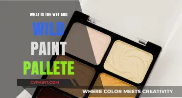 Wet and Wild Paint Palette: A Vibrant, Affordable Color Revolution