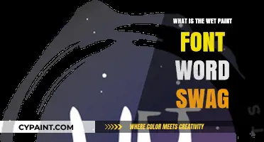 Wet Paint Font Word Swag: Creative Typography Explained