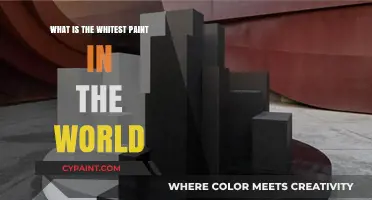 The Whitest Paint Ever: Unveiling the World's Brightest Innovation