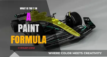 Understanding the Role of Y in Paint Formulas: A Comprehensive Guide