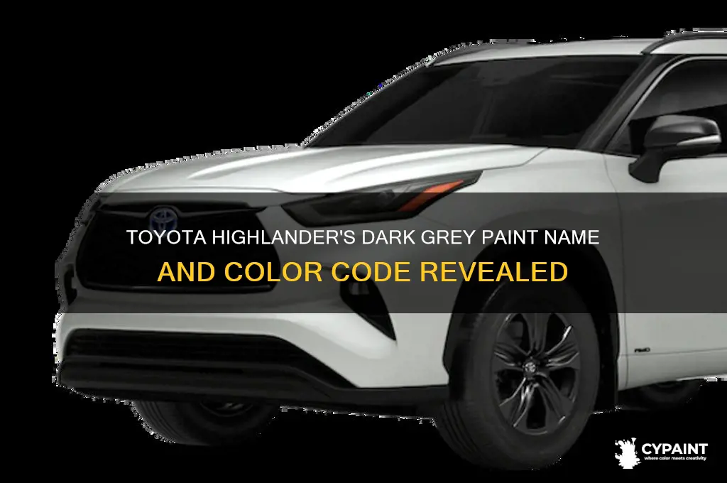 what is toyota highlanders dark grey paint called
