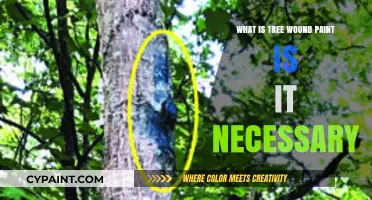 Tree Wound Paint: Essential Care or Unnecessary Treatment?